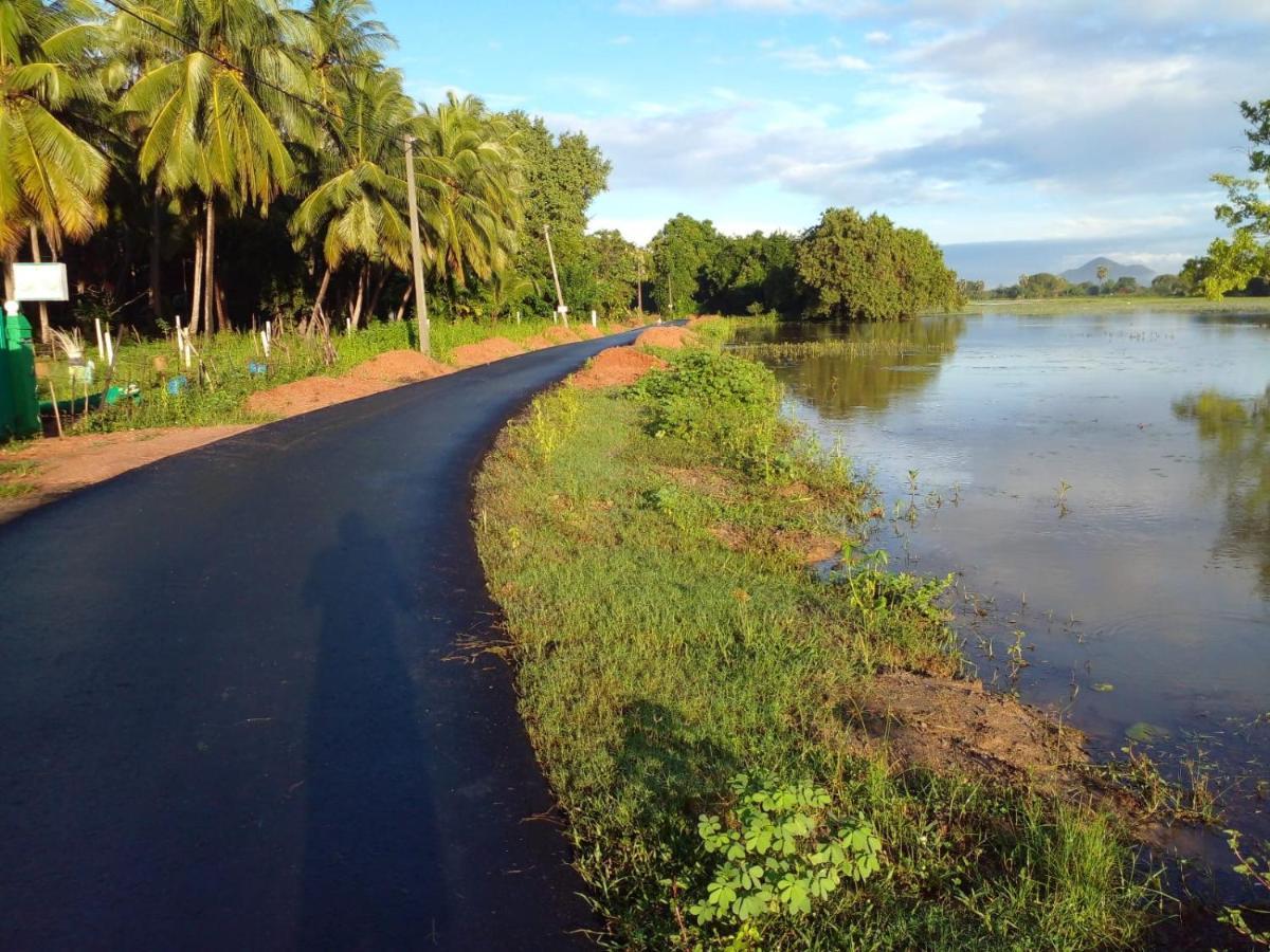 Lake Edge Dambulla Extérieur photo