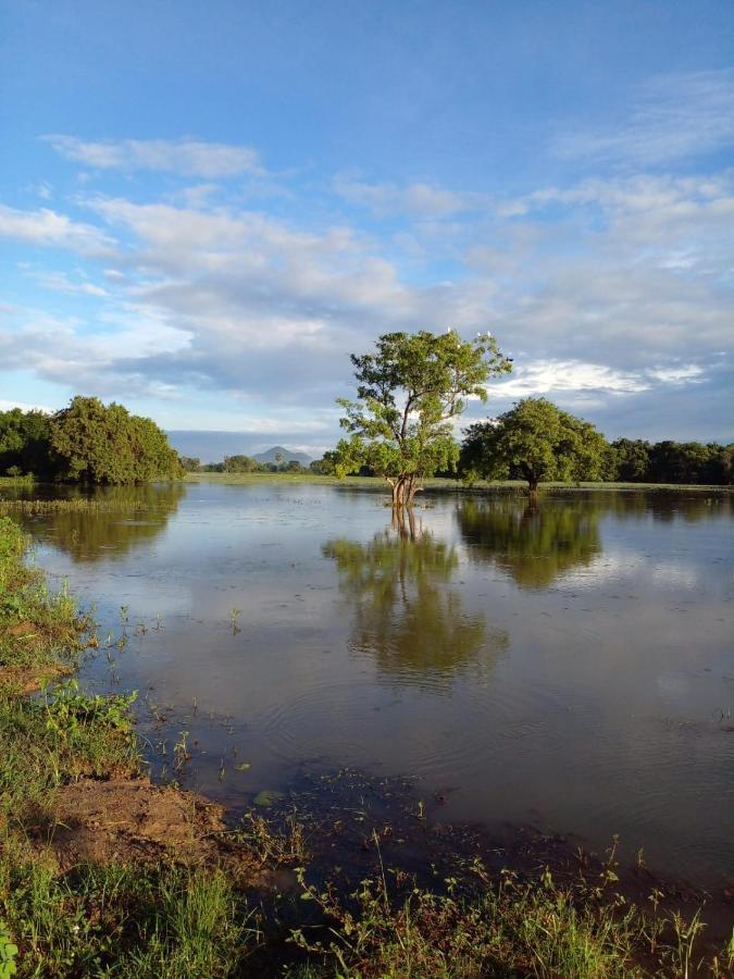 Lake Edge Dambulla Extérieur photo
