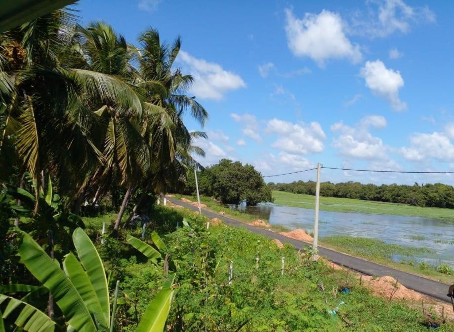 Lake Edge Dambulla Extérieur photo