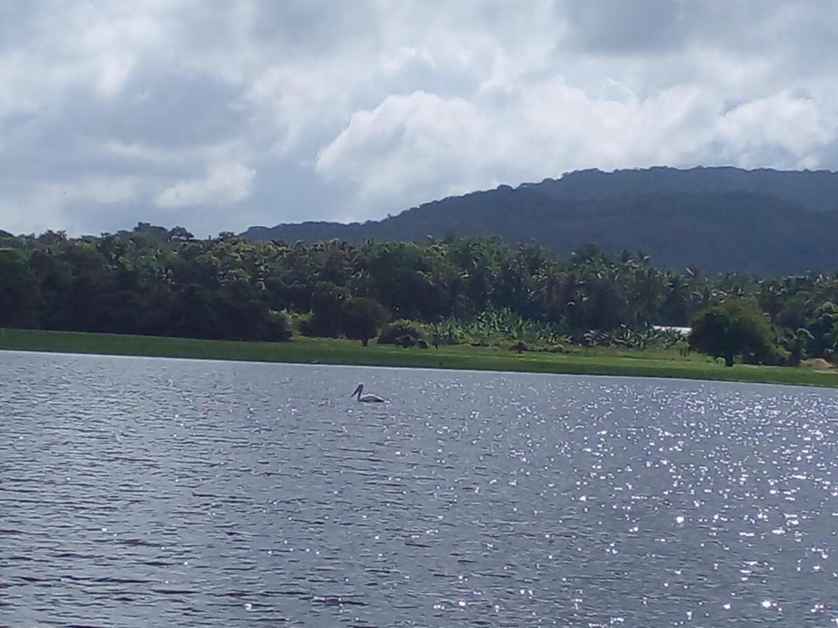 Lake Edge Dambulla Extérieur photo