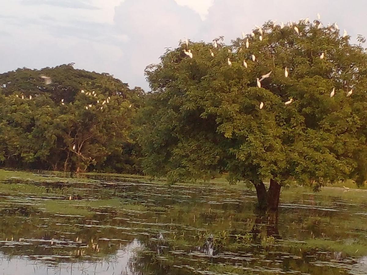 Lake Edge Dambulla Extérieur photo