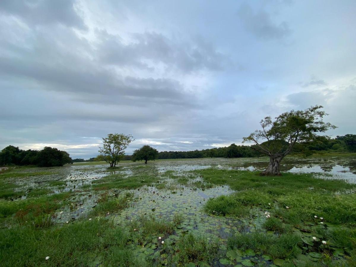 Lake Edge Dambulla Extérieur photo